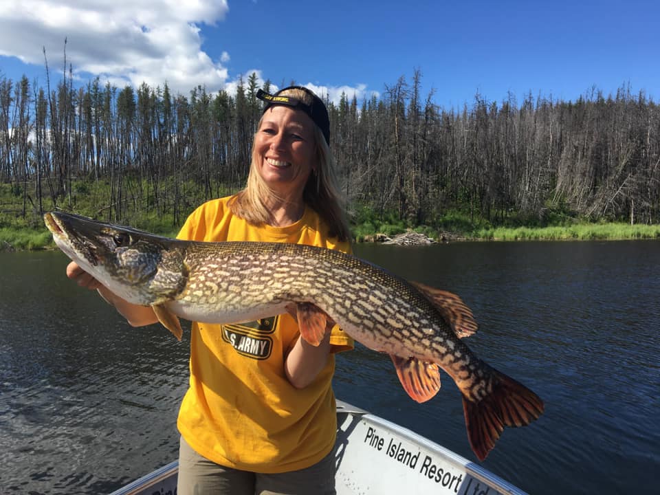 Pine Island Resort encourages barbless hooks to ensure monster pike for years to come